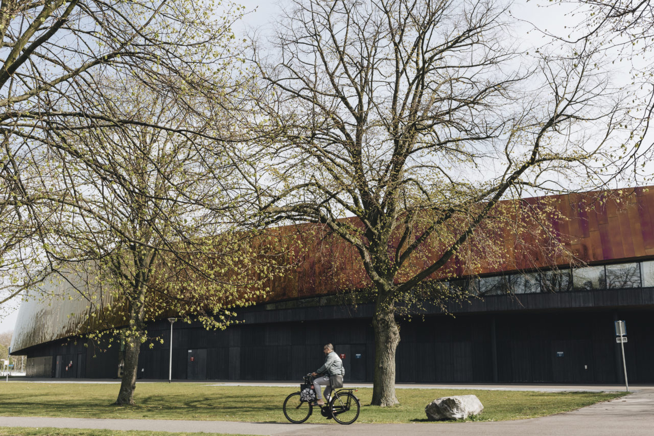 All Rights Reserved by Barbara Trienen Photography