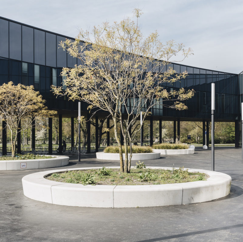 All Rights Reserved by Barbara Trienen Photography