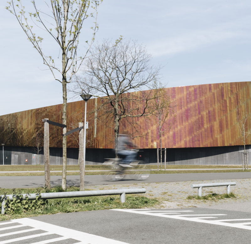 All Rights Reserved by Barbara Trienen Photography