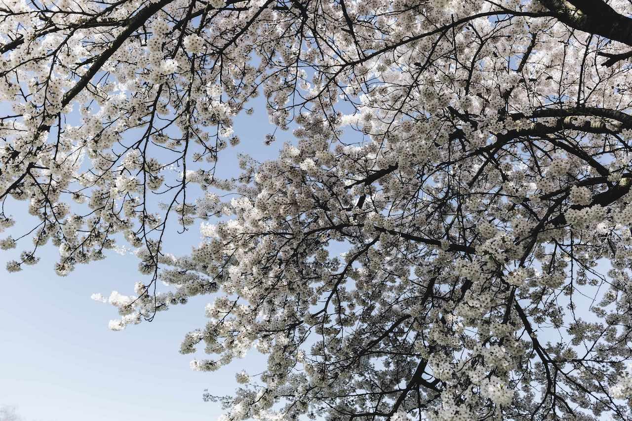 BarbaraTrienen_ICS_CASE1_Westerkim_014_IMG_512820190401 Gecomprimeerd