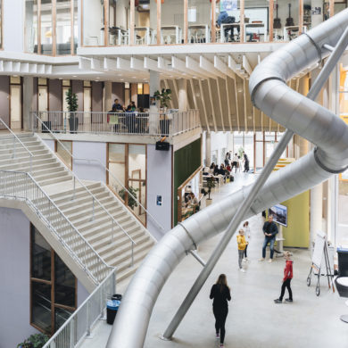 All Rights Reserved by Barbara Trienen Photography