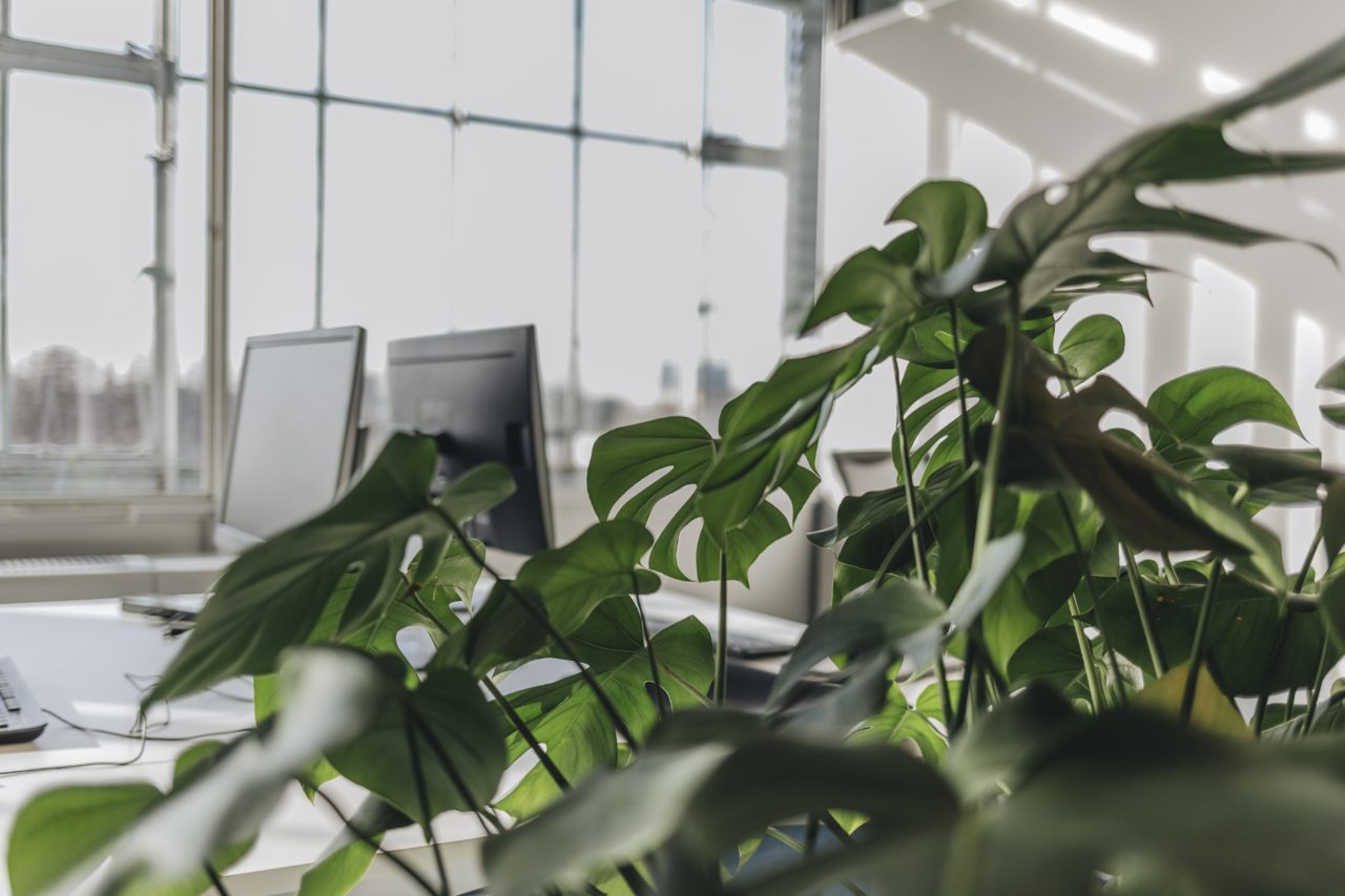 BarbaraTrienen__ICS_Rotterdam_Sfeer_011_IMG_265120190129-min