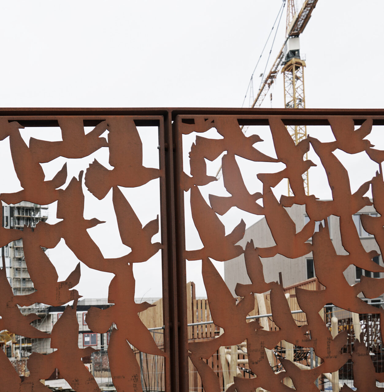 240204 Nelson vogels